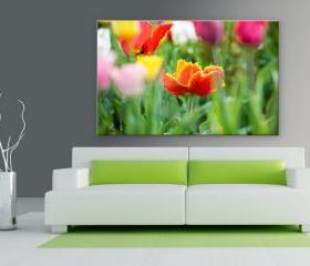 16x10 Digital printed Canvas tulip flower to your wall (size: 16x10 inch plus border).