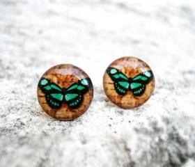 Teal Brown Butterfly earrings studs posts,Woodland Natural