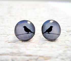 Bird Earrings in Grey Blue Black Ear Studs, Small Bird Ear Posts Earrings, Gift Bridesmaids