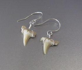 Sterling Silver Wire Wrapped Shark's Tooth Earrings, Sterling Silver Shark Tooth Dangle Earring, Silver Earrings