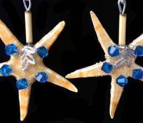  Starfish Earrings