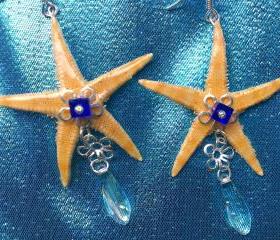 Starfish Earrings