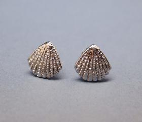 Scallop Seashell Post Earring in silver