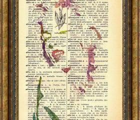 ORIGINAL Print of a my painting on a page original of Italian dictionary of 1938