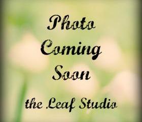 Tags (set of 5) by The Leaf Studio. FREE shipping