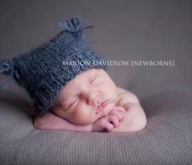 {little grey kitten}